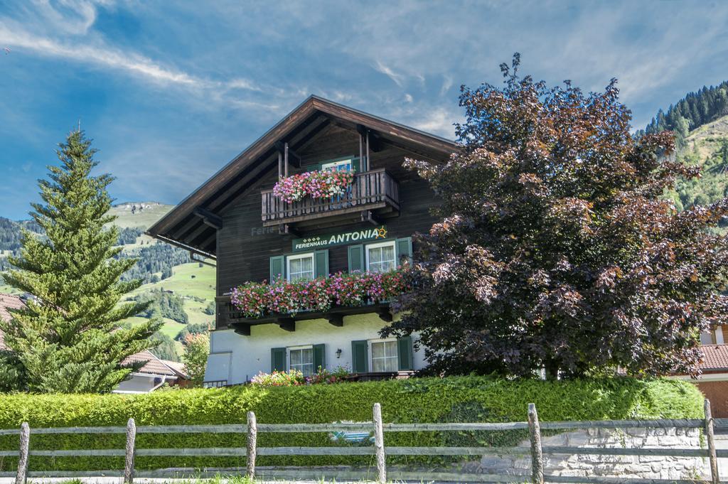 Ferienhaus Antonia Apartment Dorfgastein Exterior photo