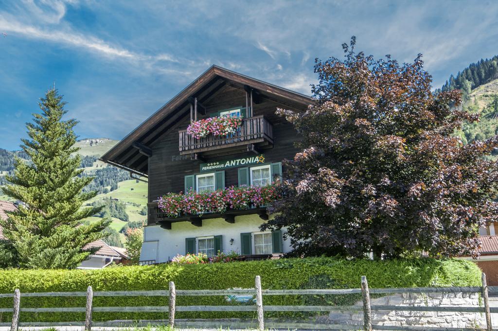 Ferienhaus Antonia Dorfgastein Exterior photo